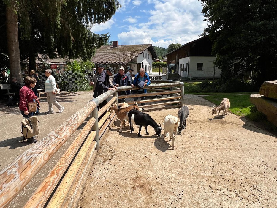2025 07 11 Tierpark Lohberg 3
