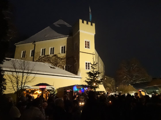 Neujahrsempfang 2015 schl 44